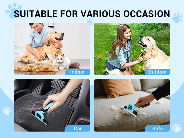 pet brush669