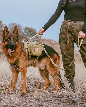 large dog harness