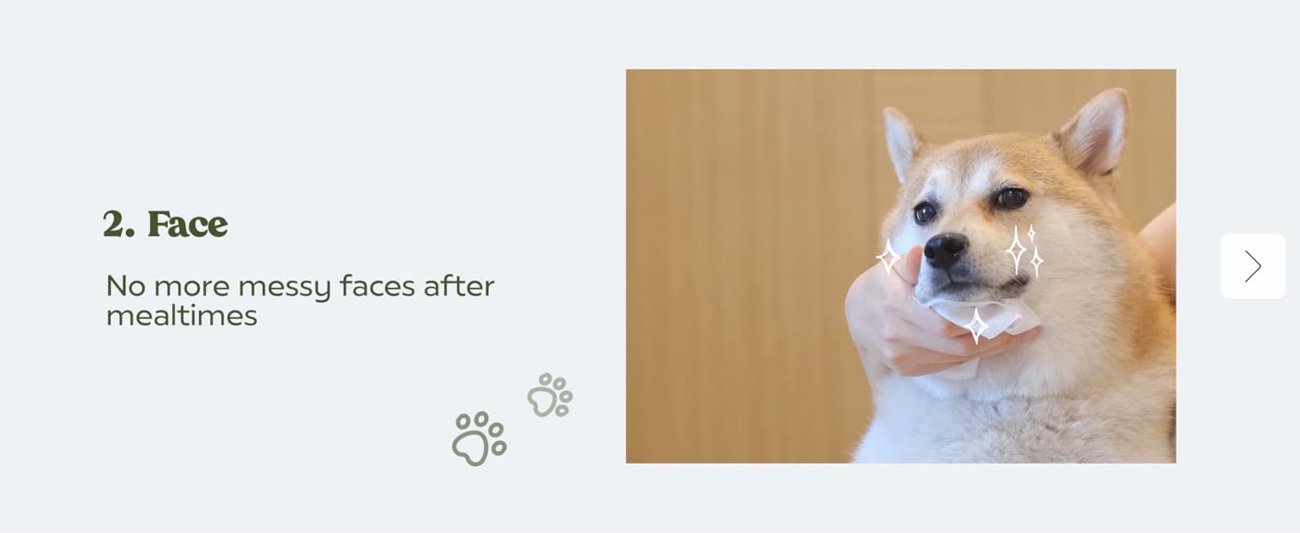 Pet Wipes