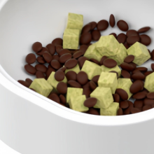 Automatic Pet Feeder