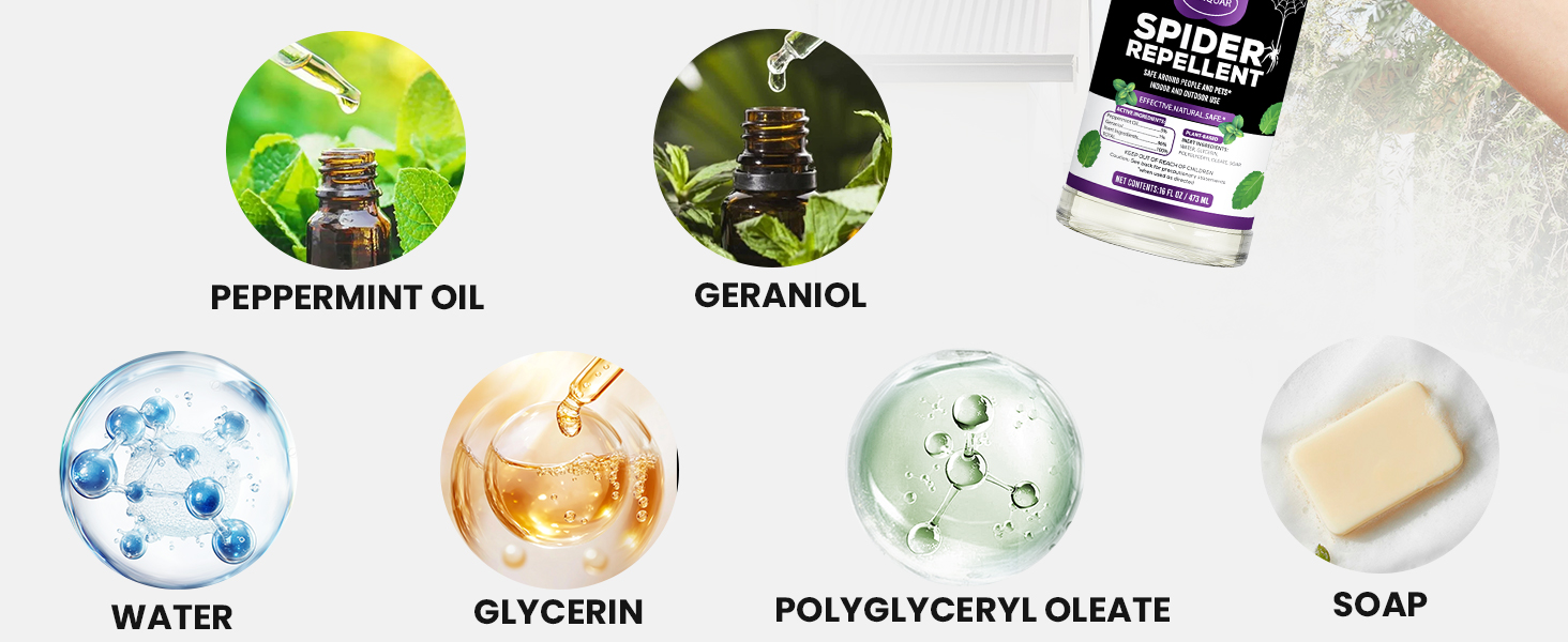 peppermint oil spray for rodents