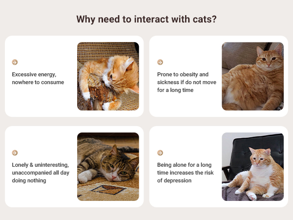 Laser Cat Toys