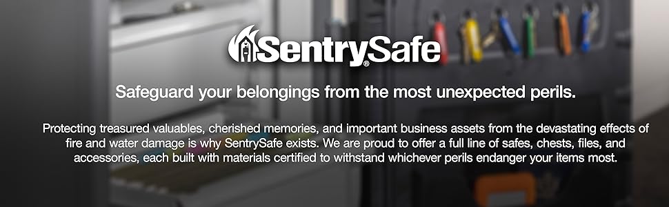 a logo with text describing Sentry Safeamp;#39;s mission