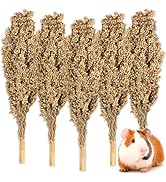 Sukh Natural Hamster Sprays - 5pcs Natural Sun-Dried Red Sorghum Grain,Flower & Herb Grain Stalks...