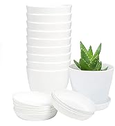 TDHDIKE 10 Pcs Plastic Planters Indoor Flower Plant Pots, Mini Flower Seedlings Nursery Pot/Plant...