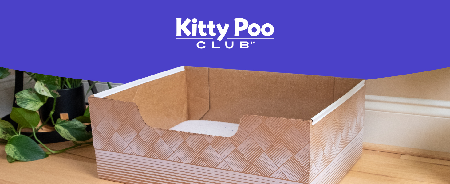 cat litter disposable box leak-proof silica crystal clumping odor control low dust natural plant