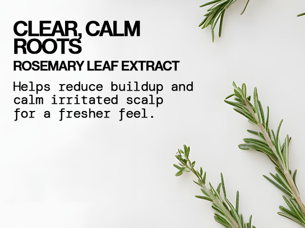 salicylic, glycolic, and lactic acids with rosemary, vegan, clarifying cleanse