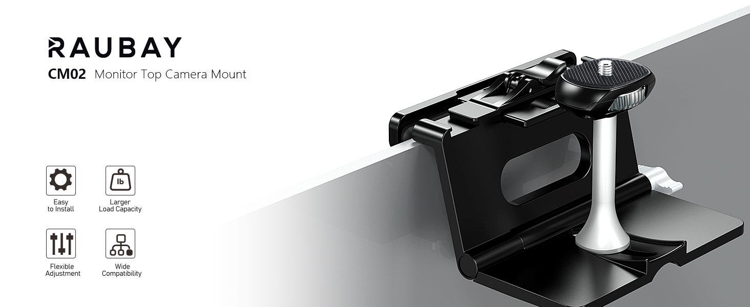 DSLR monitor mount