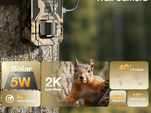deer camera