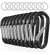 Carabiner Clip Keychain