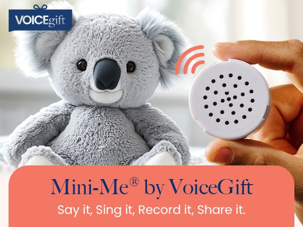 Mini Recorder Device, Bring Plush Toys, Quilts & Crafts to Life