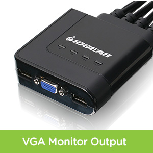 VGA Monitor Output