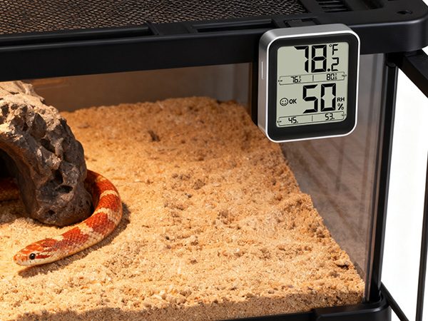 reptile thermometer