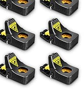 Mouse Traps