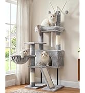 Gitelsnour Cat Tree for Indoor Cats, Cat Tower with Scratching Post for Small Cats and Kittens, C...