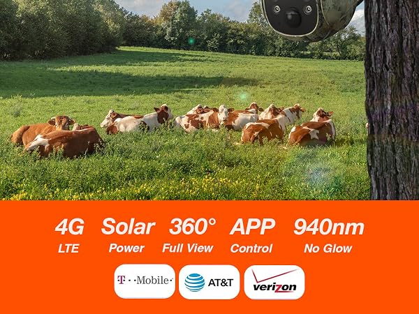trail camera