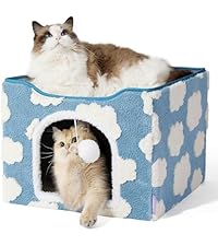 https://m.media-amazon.com/images/I/51pCDvWlrsL.__AC_SR200,225___.jpg