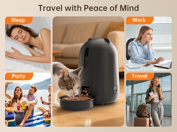 cat eating station cat automatic feeder automatic cat food dispenser cat feeding bowls