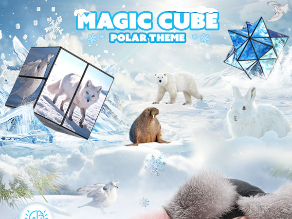 Star Cube Magic Cube Set