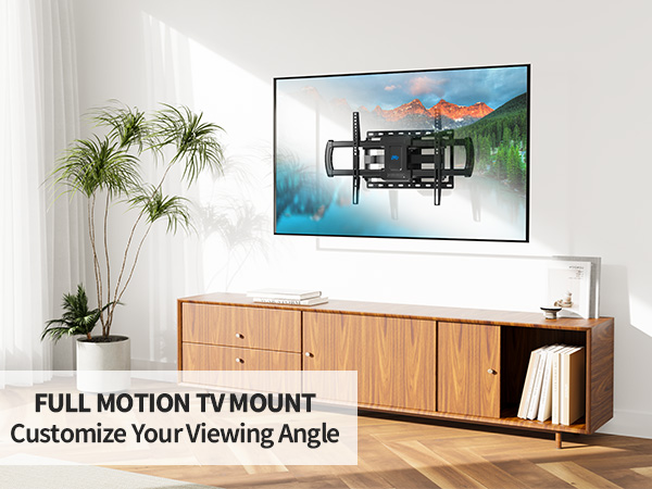 TV Mount