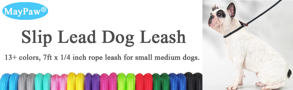 SLIP LEAD DOG LEASH