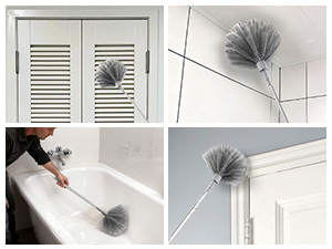 Cobweb Brush