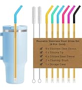 Newly Upgraded 8.5In Reusable Stainless Steel Straws Set 6 PCS with12 Silicone Accessories, 2 Str...