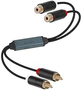 YANBORONSN RCA Ground Loop Lsolator, Noise Lsolator, Automotive Amplifier Noise Filter,hum Elimin...
