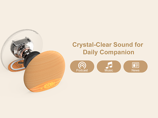 FM radio sound for daily companion