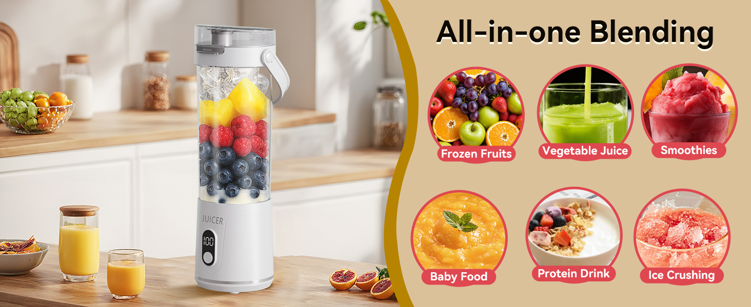 Personal electric juicer1