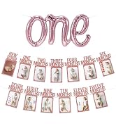1st Birthday Photo Banner Rose Gold and ONE Letter Balloon for Girls' One Year Old Party Decorati...