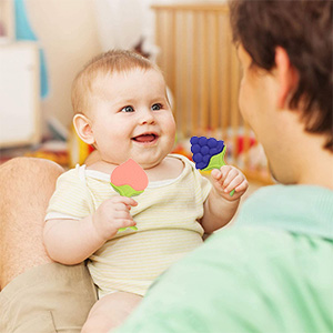 fruit teether