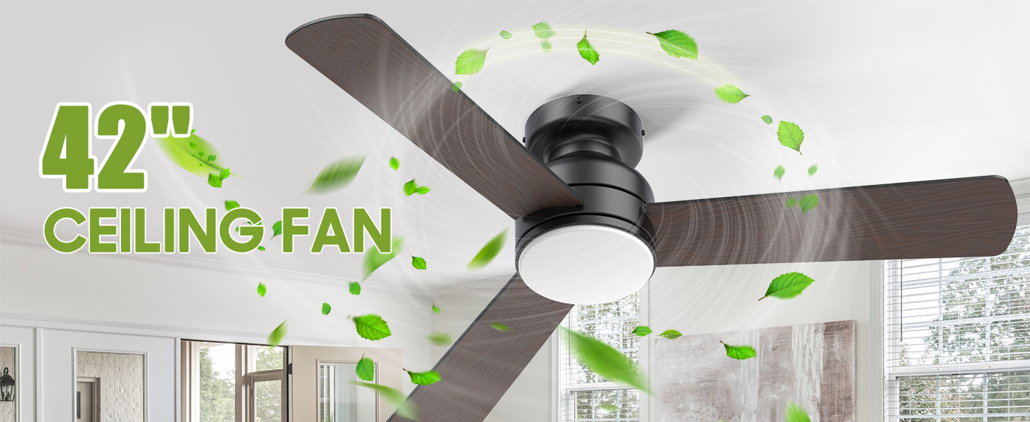 Ceiling Fans with Lights