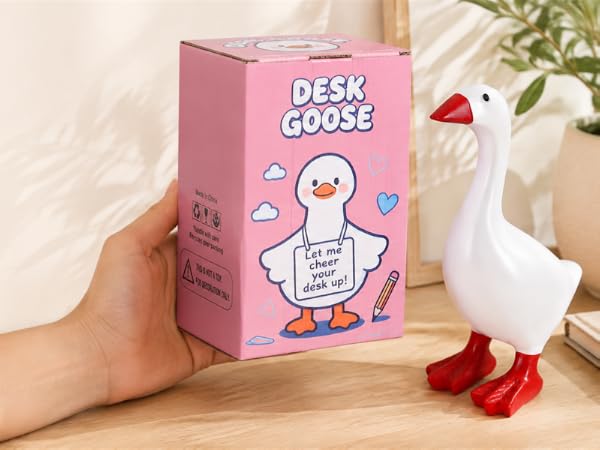 A Fun Gift for Home and Office