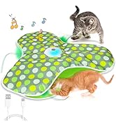 FUGODIWI Interactive Cat Toys - Moving Concealed Feathers Cats Toy,Mouse Squeaky,Touch Activated ...