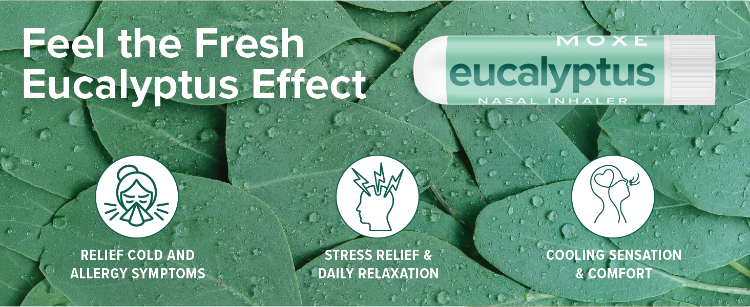 eucalyptus nasal inhaler stick for congestion and sinus relief