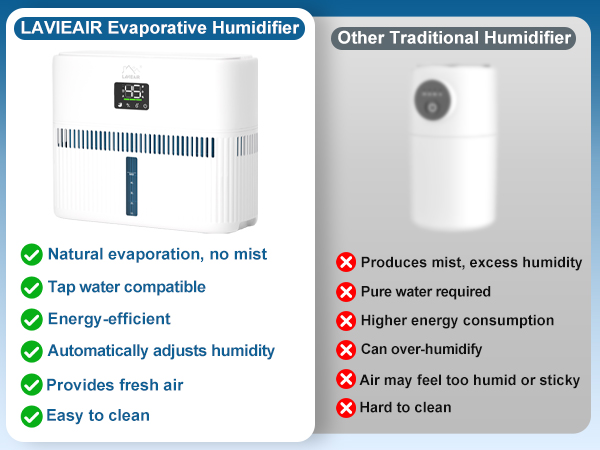 Evaporative Humidifier