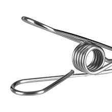 stainless clip