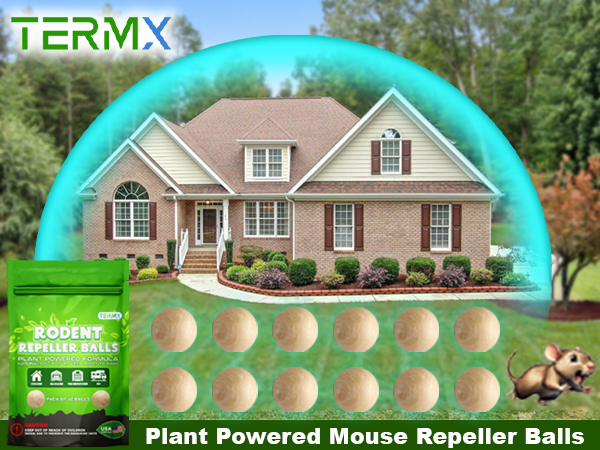 Moth balls for indoor use