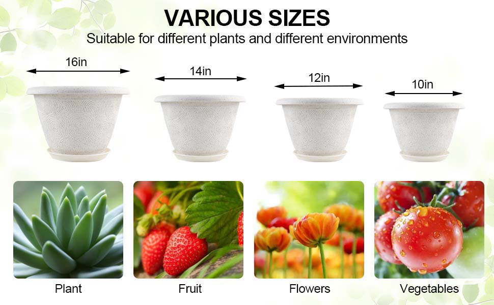 flower pot