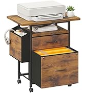 DUMOS 2 Drawer Mobile File Cabinet, Rolling Printer Stand with 24'' Wide Desktop, Fabric Drawer C...