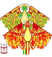 YongnKids Kite, 2 Pack Kites for Kids Ages 4-8 8-12 & Adults, Easy to Fly Kite for Beginner, Grea...