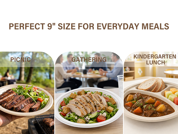 paper plates bulk