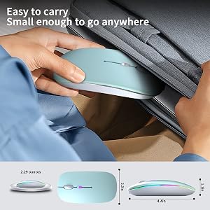 portable mouse