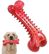 IPTPAS Dog Chew Toy for Aggressive Chewers, Tough Natural Rubber Bone with Irresistible Beef Flav...
