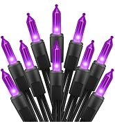 2 Pack Purple Halloween Mini Lights, 13 Feet 50 Count Totally 100 Count Incandescent Bulb Mini St...