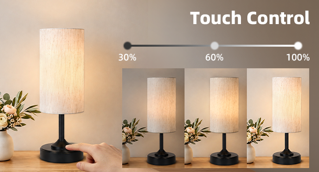 cordless lamp