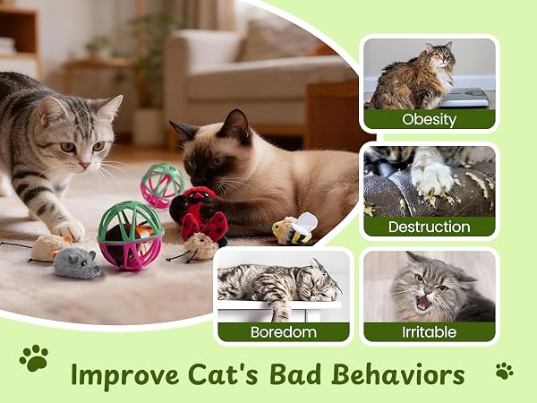 improve cat's bad behaviors