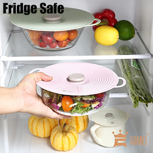 fridge safe