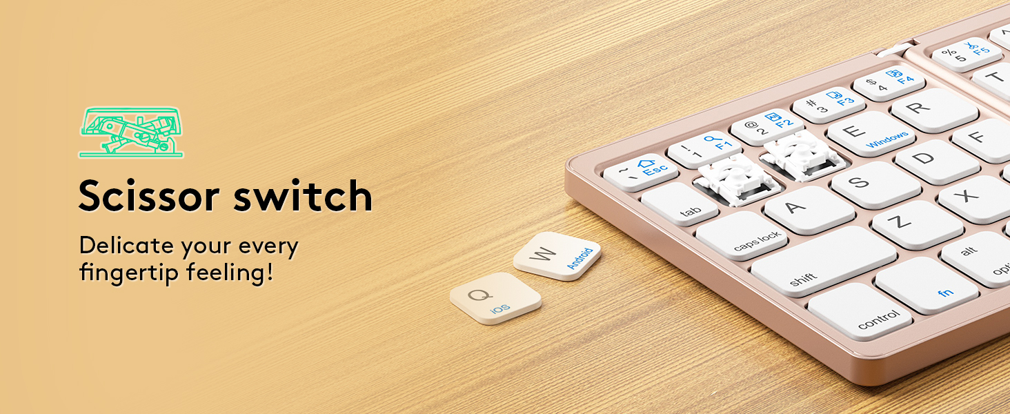Scissor Switch
